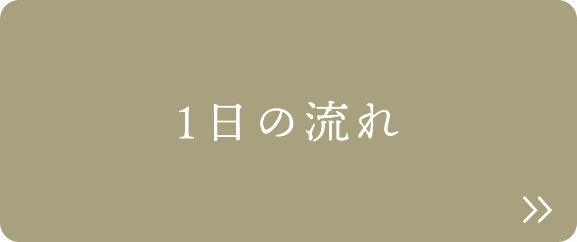 1日の流れ 